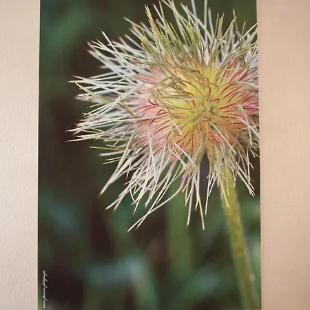 June 13th Comfort Apartament *