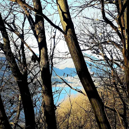 Apartment June 13th Comfort *